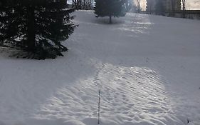 App 510 Panoramic Hohegeiß mit Fernblick